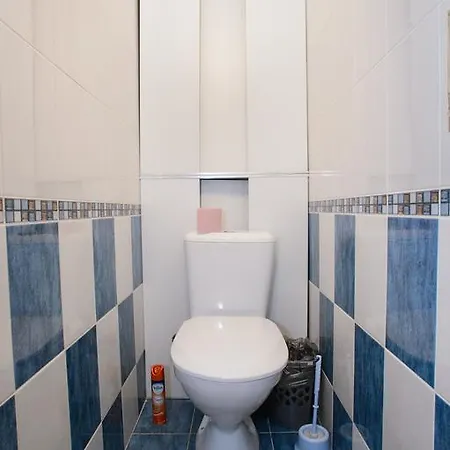 Pushkinskaya Apartment *
